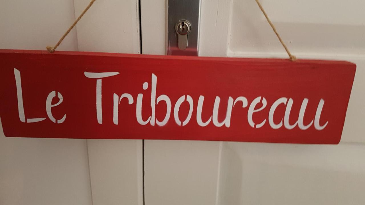 Écaussinnes-dʼEnghien Le Triboureau Bed & Breakfast エクステリア 写真