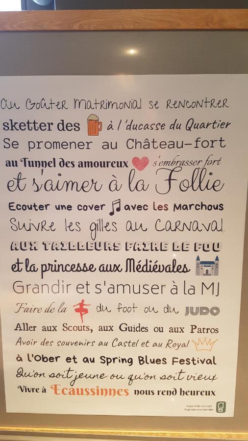 Écaussinnes-dʼEnghien Le Triboureau Bed & Breakfast エクステリア 写真